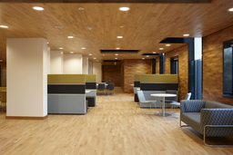 Junckers Beech SylvaKet Solid 2-Strip Wood Flooring, Oiled, Harmony, 129x14 mm