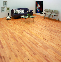 Junckers Beech Solid 2-Strip Wood Flooring, Untreated, Variation, 129x22 mm