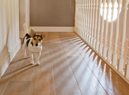 Tradition Classics Petrus Engineered Oak Flooring, Smoked, Oiled, 220x21x2200mm